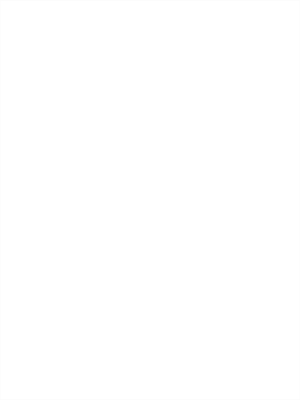 liseret autocollant couleur blanc - image 0