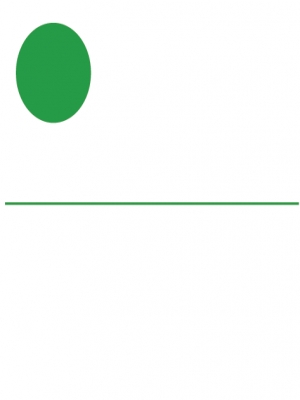 liseret autocollant couleur vert clair - image 0
