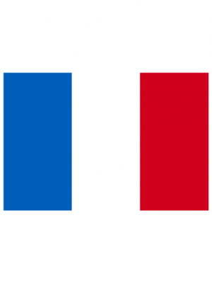Autocollant drapeau de la France