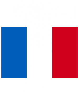 Autocollant drapeau de la France - image 0