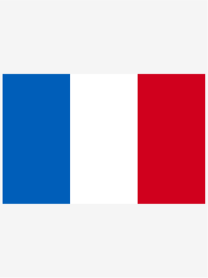 Autocollant drapeau de la France - image 0