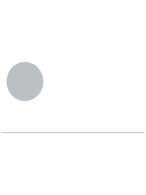 liseret autocollant gris argent - image 0