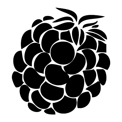 Sticker Framboise