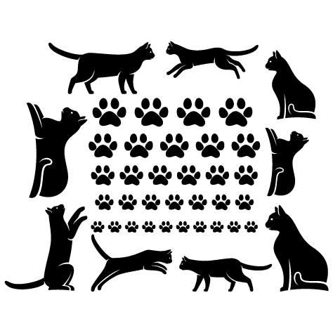 Stickers pattes et chats