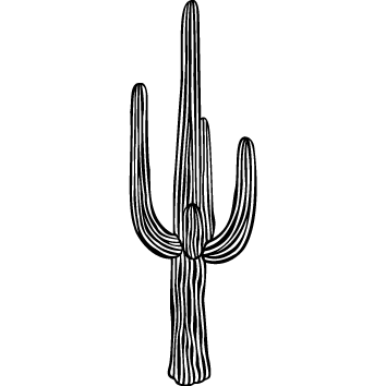 Sticker cactus : 02