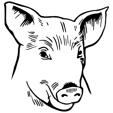 Sticker tête de cochon