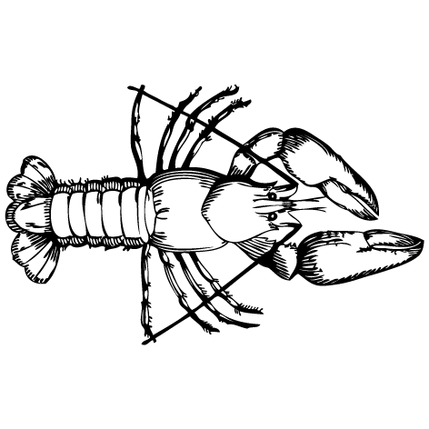 Sticker langouste : SP01