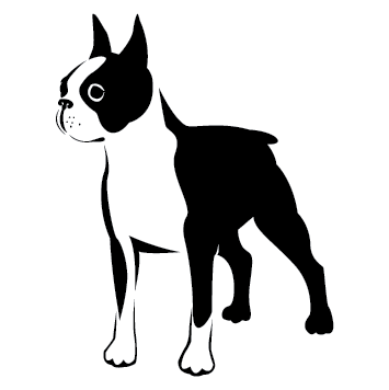 Sticker chien Boston Terrier
