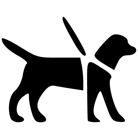 Sticker chien labrador