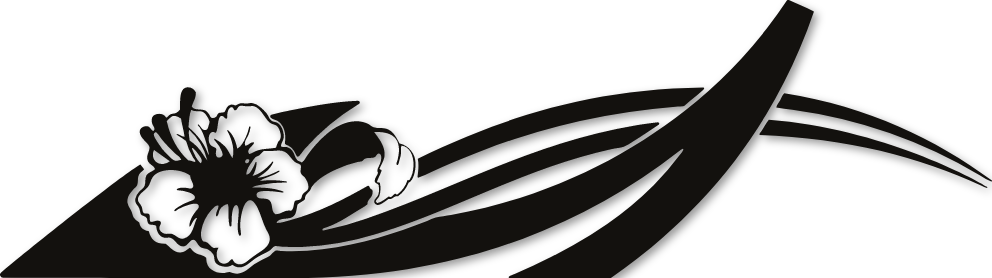 Motif autocollant latéral SCCM23