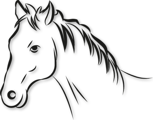 Buste tête de cheval