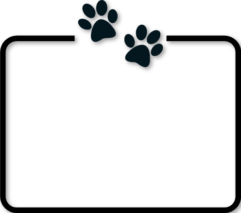 Cadre Horaires vétérinaire