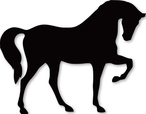 Cheval debout sur trois pattes