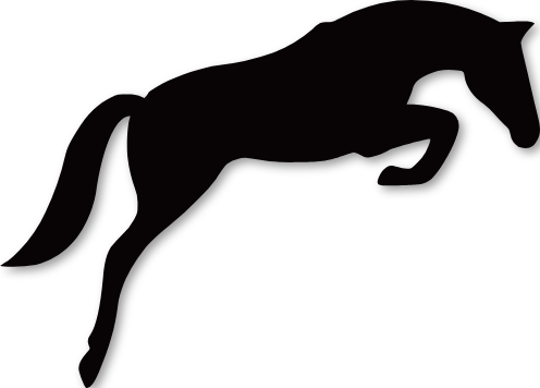 Cheval noir de saut