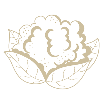 Choux fleur