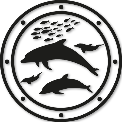 Dauphin hublot