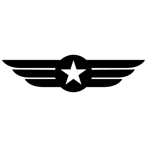 Emblème aviation N13