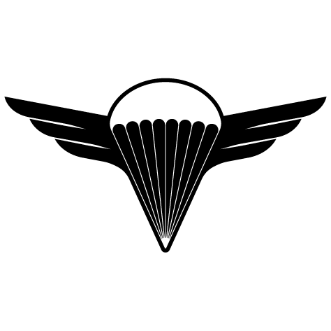 Emblème aviation N5