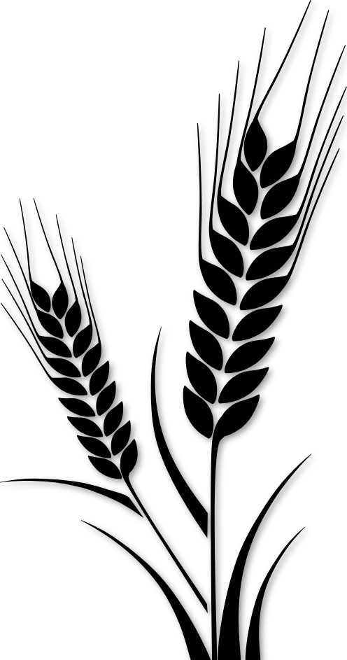 Stickers épis de blé