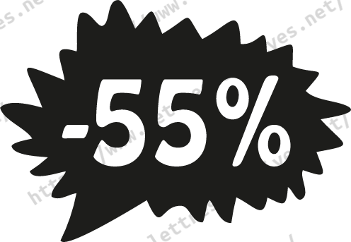 Étiquette soldes promotion -55%