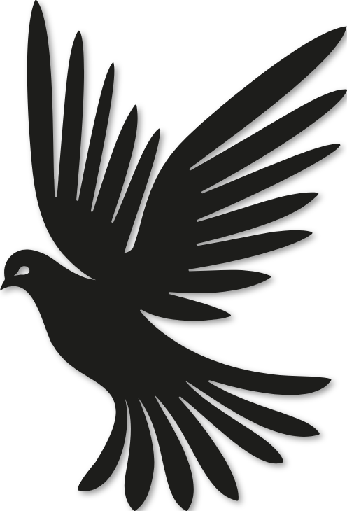 Étude d'oiseau volant