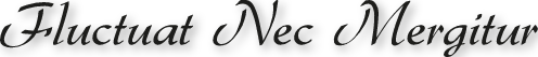 Fluctuat nec mergitur