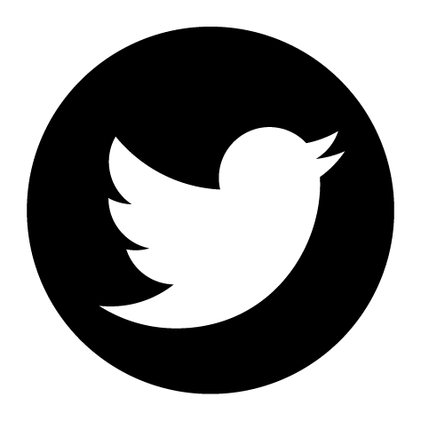 Logo Twitter model 2