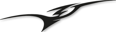 Motif autocollant latéral SCCM31