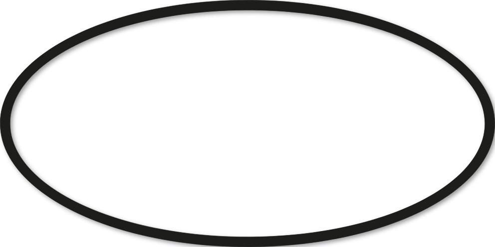 Ovale 25x50cm trait 1 cm