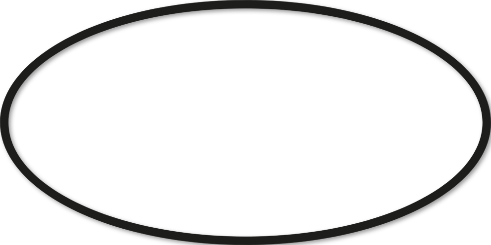 Ovale 30x60cm trait 1 cm