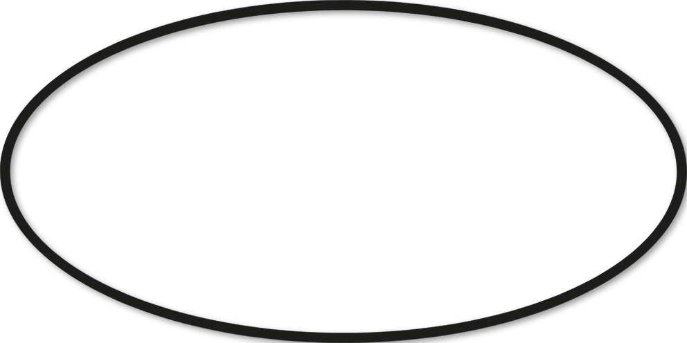 Ovale 35x70cm trait 1 cm