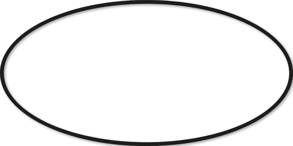 Ovale 40x80cm trait 1 cm