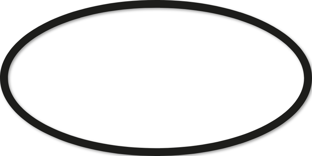 Ovale 40x80cm trait 2 cm