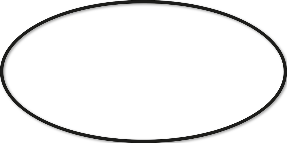 Ovale 45x90cm trait 1 cm