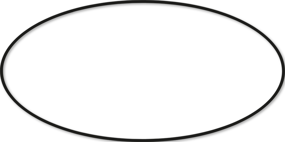 Ovale 50x100cm trait 1 cm