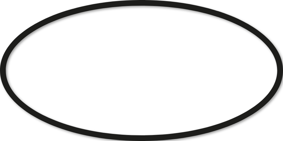 Ovale 50x100cm trait 2 cm