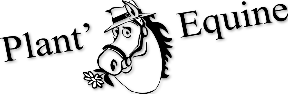 PLANT' EQUINE