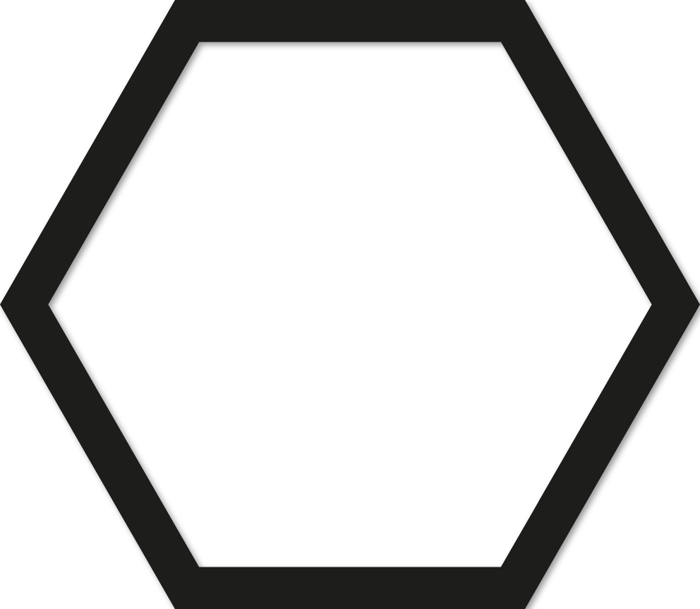 Hexagone 15x17,25cm trait 1 cm