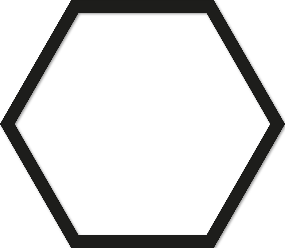Hexagone 20x23cm trait 1 cm