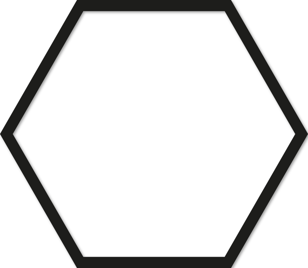 Hexagone 25x28,75cm trait 1 cm