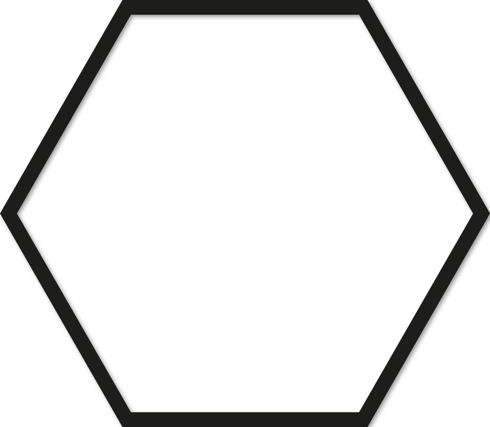 Hexagone 30x34,5cm trait 1 cm