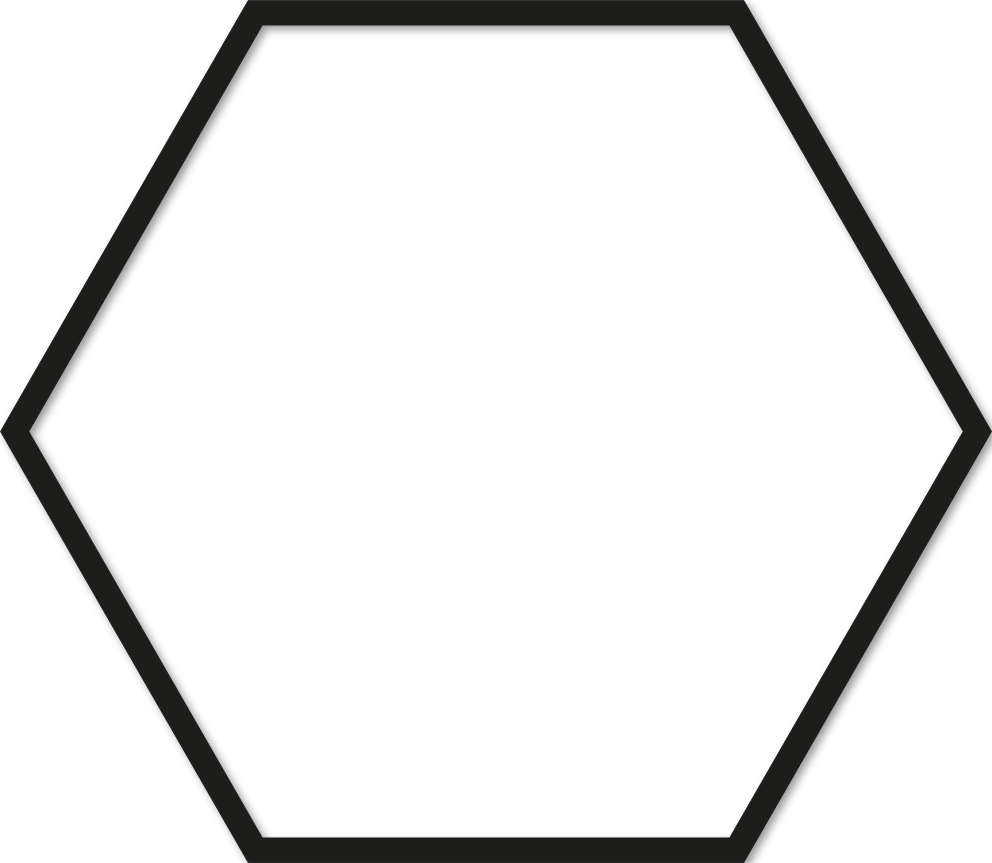 Hexagone 35x40,25cm trait 1 cm