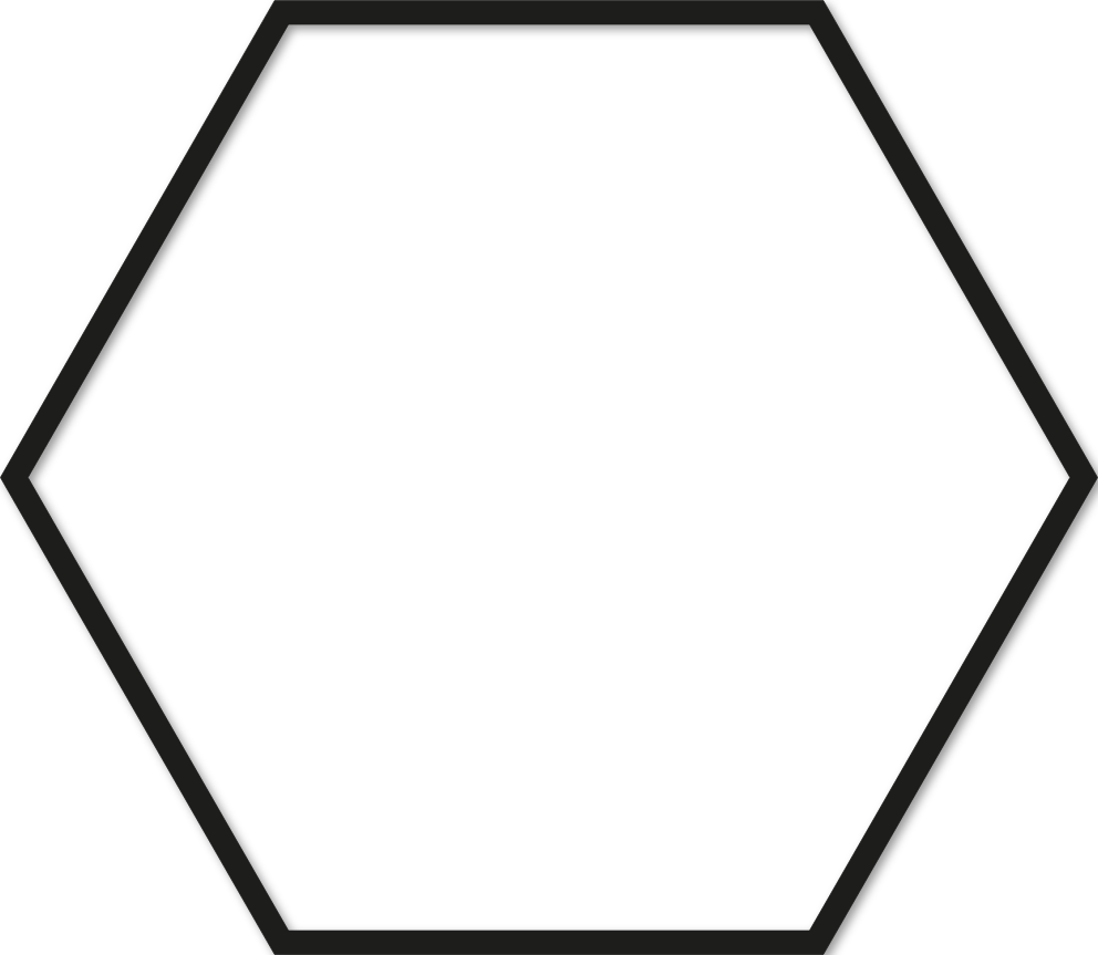 Hexagone 40x46cm trait 1 cm