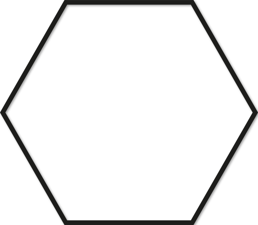 Hexagone 50x57,5cm trait 1 cm