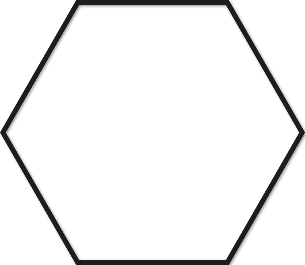 Hexagone 55x63,25cm trait 1 cm