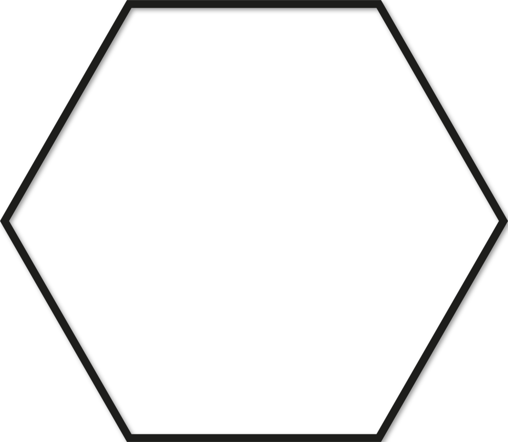 Hexagone 58x66,7cm trait 1 cm