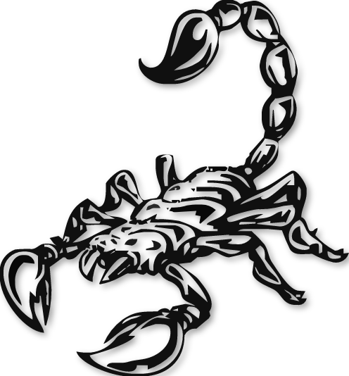 Scorpion noir à queue jaune