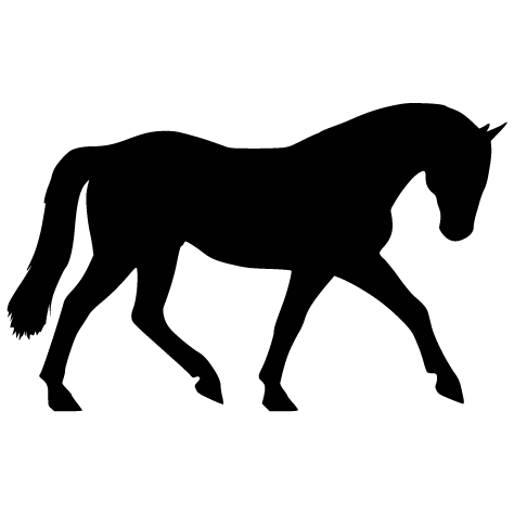 Sticker cheval d'équitation