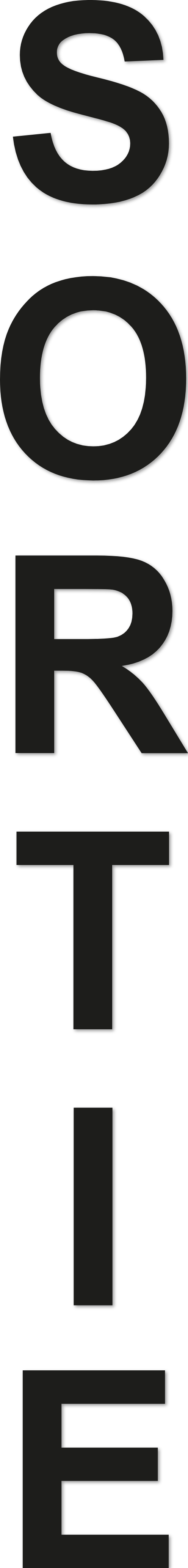 SORTIE police arial bold