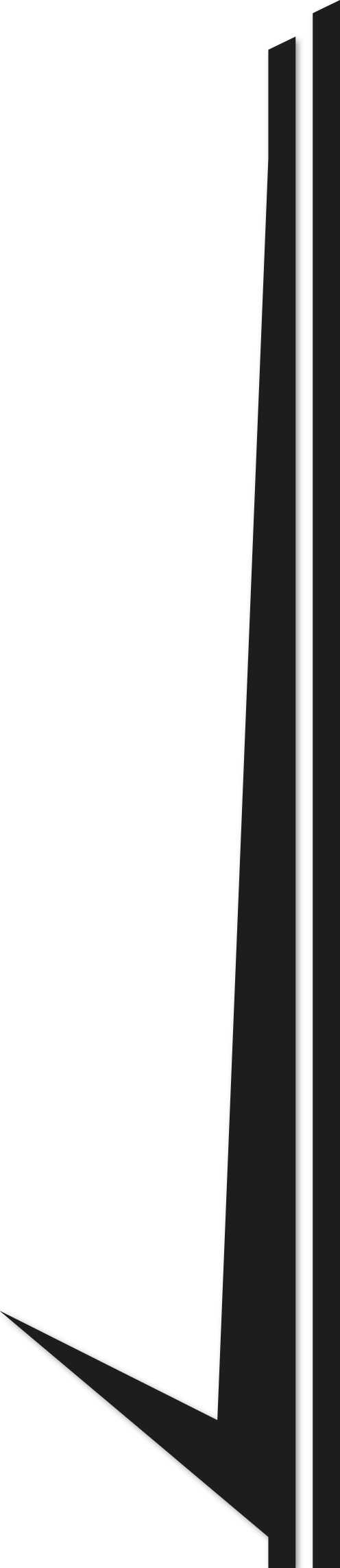 Sticker autocollant arrière sccm 38